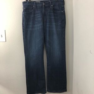 AG Adriano Goldschmied the regent boot cut size 31
